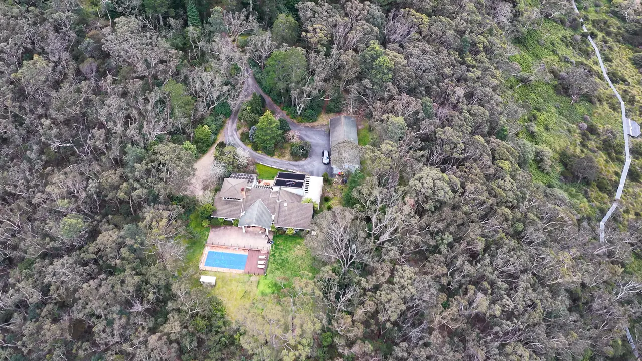 Aerial view of a home and pool surrounded by eucalyptus forest