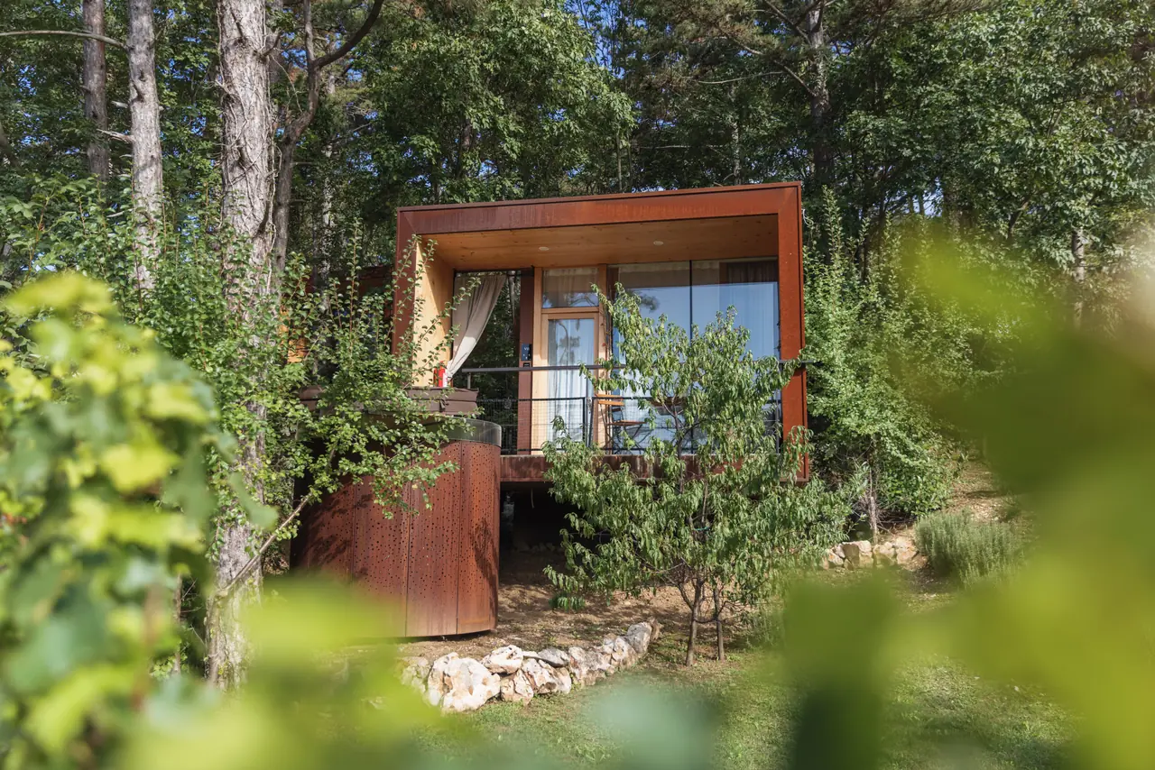 Small timber accommodation cabin among trees